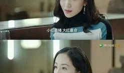 素人娱乐圈吃瓜爆料小说,揭秘明星背后的真实生活